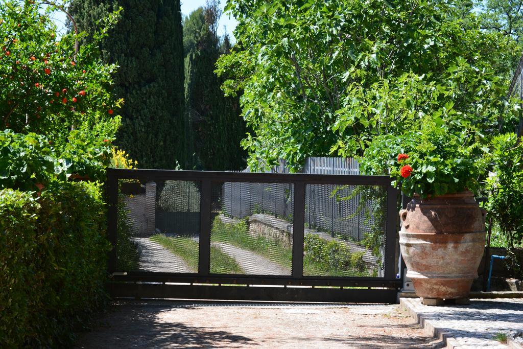 B&B Il Giovine 克利通诺河畔坎佩洛 外观 照片