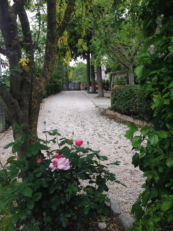B&B Il Giovine 克利通诺河畔坎佩洛 外观 照片
